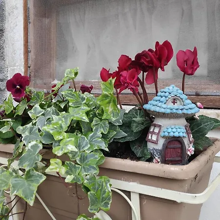 Il Rifugio Del Sole - *