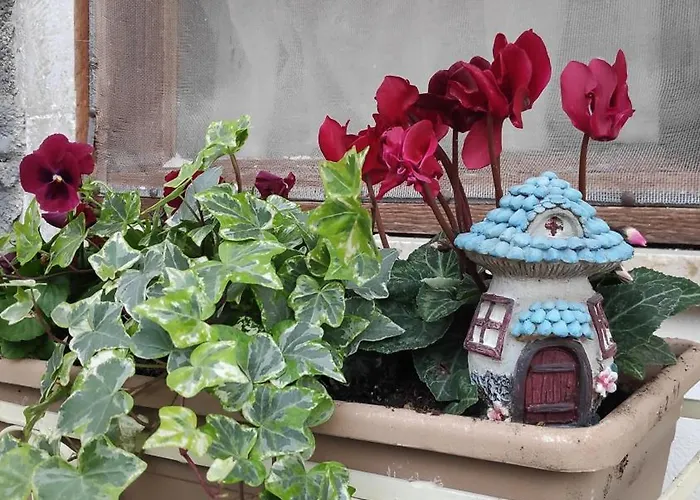 Il Rifugio Del Sole - *